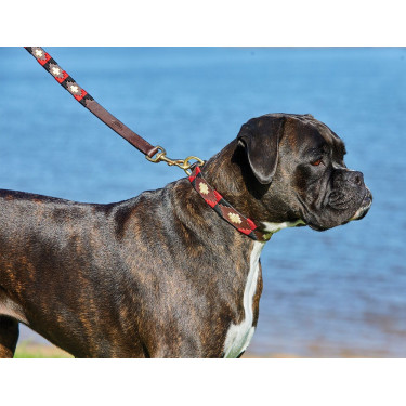 Collare per cane Weatherbeeta in cuoio Polo Marrone cowdray / nero / rosso / bianco Multicolore