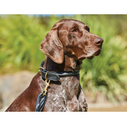 Collare per cane Weatherbeeta in cuoio rotondo Collare per cane Weatherbeeta in cuoio rotondo
