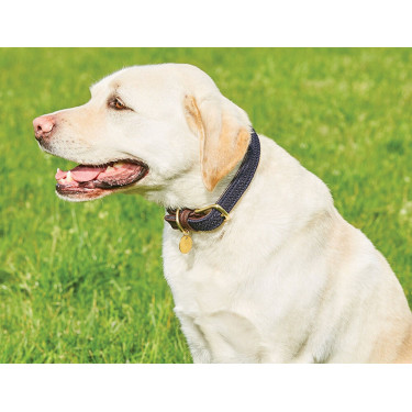 Collare per cane Weatherbeeta in cuoio intrecciato Marrone / blu navy