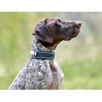 Collare per cane Weatherbeeta Explorer Marina Blu marino