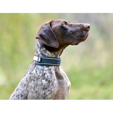 Collare per cane Weatherbeeta Explorer Collare per cane Weatherbeeta Explorer