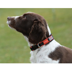 Collare per cane Weatherbeeta Therapy-Tec