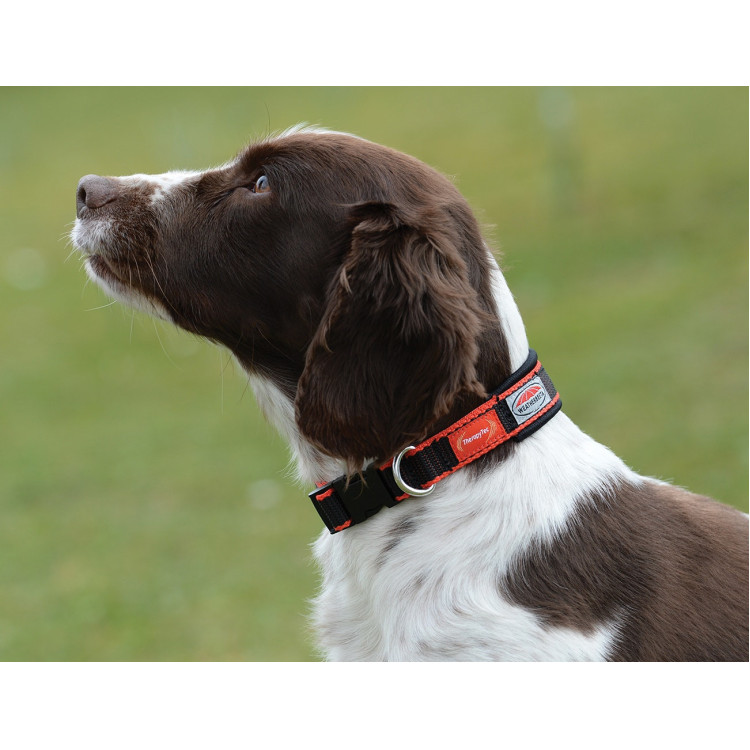 Collare per cane Weatherbeeta Therapy-Tec