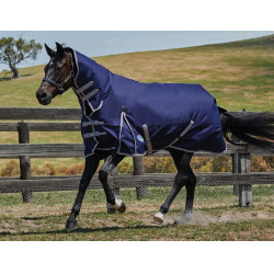 Coperta Combo 50g Weatherbeeta ComFiTec Essential Coperta Combo 50g Weatherbeeta ComFiTec Essential