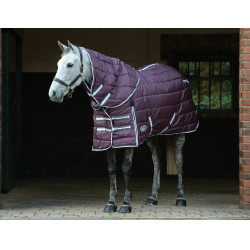 Coperta da scuderia 200g Weatherbeeta Channel Quilt II