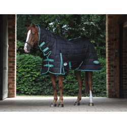 Coperta da scuderia Green-Tec Combo 150g Weatherbeeta