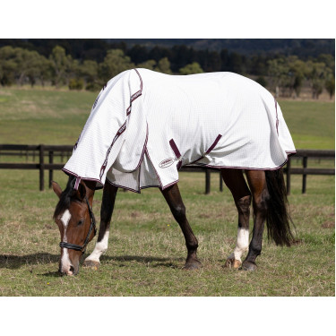 Coperta estiva Weatherbeeta Hybrid combo Coperta estiva Weatherbeeta Hybrid combo