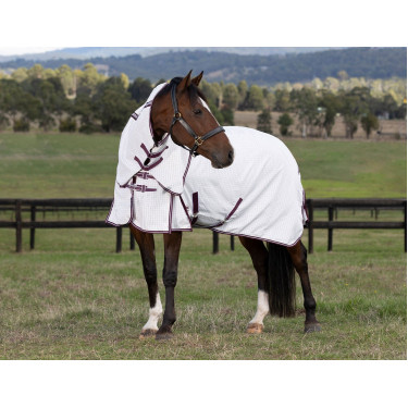 Coperta estiva Weatherbeeta Hybrid combo Coperta estiva Weatherbeeta Hybrid combo