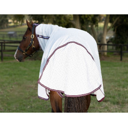 Coperta estiva Weatherbeeta Hybrid combo Bianco / marrone Coperta estiva Weatherbeeta Hybrid combo Bianco / marrone