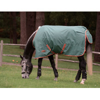 Coperta da esterno 200g Weatherbeeta ComFiTec Tyro Verde / arancione bruciato / bianco Coperta da esterno 200g Weatherbeeta ComFiTec Tyro Verde / arancione bruciato / bianco