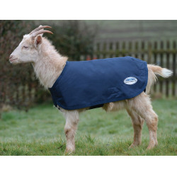 Coperta per capra Weatherbeeta