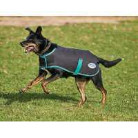 Coperta per cane 220g Weatherbeeta Green-Tec 900D Nero / verde bottiglia