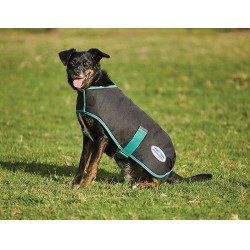 Coperta per cane 220g Weatherbeeta Green-Tec 900D Nero / verde bottiglia Coperta per cane 220g Weatherbeeta Green-Tec 900D Nero / verde bottiglia