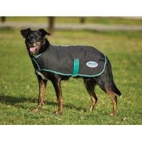 Coperta per cane 220g Weatherbeeta Green-Tec 900D Nero / verde bottiglia Coperta per cane 220g Weatherbeeta Green-Tec 900D Nero / verde bottiglia
