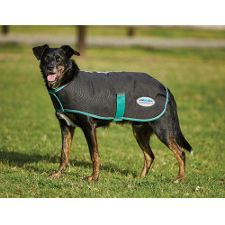 Coperta per cane 220g Weatherbeeta Green-Tec 900D Nero / verde bottiglia Coperta per cane 220g Weatherbeeta Green-Tec 900D Nero / verde bottiglia