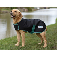 Coperta per cane 50g Weatherbeeta Green-Tec 900D Nero / verde bottiglia Coperta per cane 50g Weatherbeeta Green-Tec 900D Nero / verde bottiglia