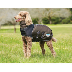 Coperta per cane 100g Weatherbeeta ComFiTec Ultra Cozi Coperta per cane 100g Weatherbeeta ComFiTec Ultra Cozi