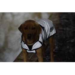 Coperta per cane riflettente 220g Weatherbeeta Coperta per cane riflettente 220g Weatherbeeta