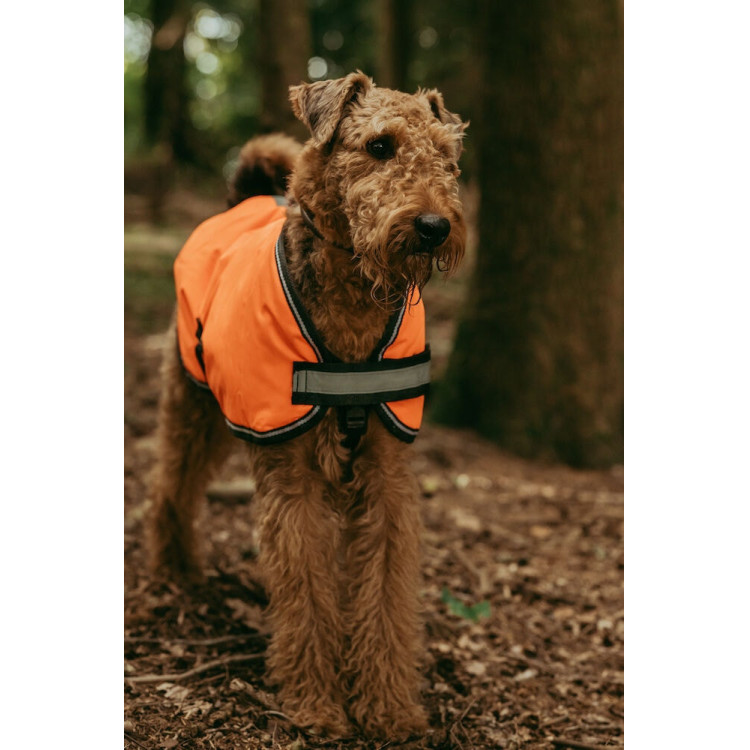 Coperta per cane Weatherbeeta 300D riflettente