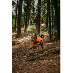 Coperta per cane Weatherbeeta 300D riflettente Arancione Coperta per cane Weatherbeeta 300D riflettente Arancione
