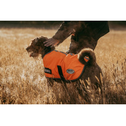 Coperta per cane Weatherbeeta 300D riflettente Arancione Coperta per cane Weatherbeeta 300D riflettente Arancione