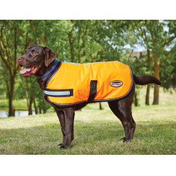 Coperta per cane Weatherbeeta 300D riflettente Arancione Coperta per cane Weatherbeeta 300D riflettente Arancione