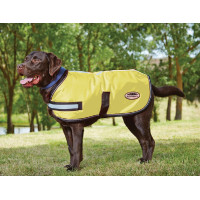 Coperta per cane Weatherbeeta 300D riflettente Arancione
