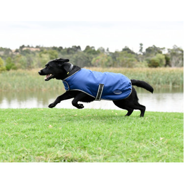 Coperta per cane Weatherbeeta ComFiTec Coperta per cane Weatherbeeta ComFiTec