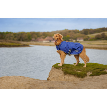 Coperta per cane Weatherbeeta ComFiTec Coperta per cane Weatherbeeta ComFiTec