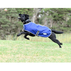 Coperta per cane Weatherbeeta ComFiTec Premier Free Coperta per cane Weatherbeeta ComFiTec Premier Free