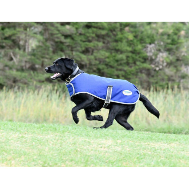 Coperta per cane Weatherbeeta ComFiTec Premier Free Coperta per cane Weatherbeeta ComFiTec Premier Free