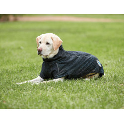 Coperta per cane riflettente Weatherbeeta ComFitec Nero riflettente Coperta per cane riflettente Weatherbeeta ComFitec Nero riflettente