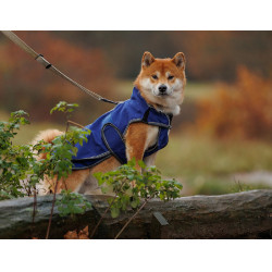 Coperta per cane Weatherbeeta Deluxe ComFiTec Coperta per cane Weatherbeeta Deluxe ComFiTec