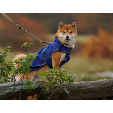 Coperta per cane Weatherbeeta Deluxe ComFiTec Coperta per cane Weatherbeeta Deluxe ComFiTec