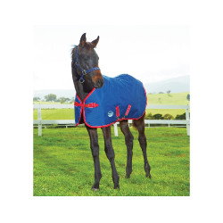 Coperta per puledro 220g Weatherbeeta 1200D Coperta per puledro 220g Weatherbeeta 1200D