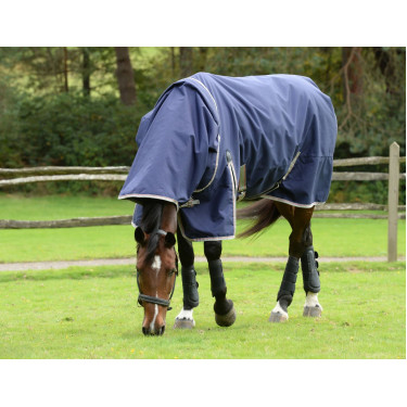 Coperta Weatherbeeta 50g ComFiTec Essential con copricollo Coperta Weatherbeeta 50g ComFiTec Essential con copricollo