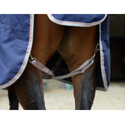 Coperta Weatherbeeta 50g ComFiTec Essential con copricollo Coperta Weatherbeeta 50g ComFiTec Essential con copricollo