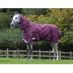 Coperta 100g Weatherbeeta con Collo ComFiTec Plus Dynamic II Coperta 100g Weatherbeeta con Collo ComFiTec Plus Dynamic II