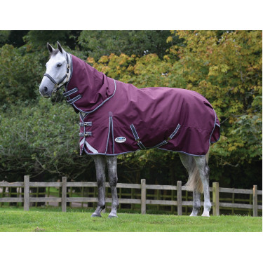 Coperta 100g Weatherbeeta con Collo ComFiTec Plus Dynamic II Coperta 100g Weatherbeeta con Collo ComFiTec Plus Dynamic II
