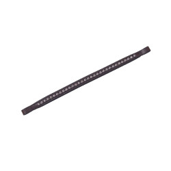 Frontale Collegiate diamante