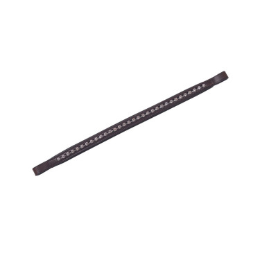 Frontale Collegiate diamante