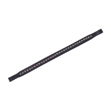 Frontale Collegiate diamante Nero