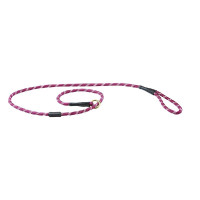 Guinzaglio per cane Weatherbeeta in cuoio e corda Bordeaux / marrone Guinzaglio per cane Weatherbeeta in cuoio e corda Bordeaux / marrone