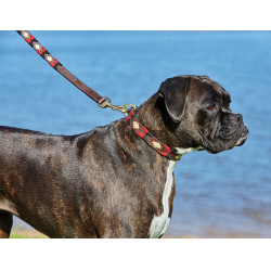 Guinzaglio per cane Weatherbeeta in cuoio Polo Guinzaglio per cane Weatherbeeta in cuoio Polo