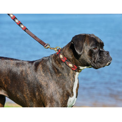 Guinzaglio per cane Weatherbeeta in cuoio Polo Guinzaglio per cane Weatherbeeta in cuoio Polo