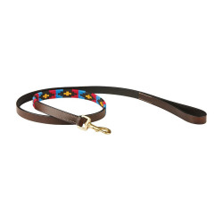 Guinzaglio per cane Weatherbeeta in cuoio Polo Marrone cowdray / rosa / blu / giallo Multicolore