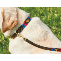 Guinzaglio per cane Weatherbeeta in cuoio Polo Marrone cowdray / nero / rosso / bianco Multicolore