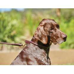 Guinzaglio per cane Weatherbeeta in cuoio rotondo