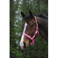 Capestro Saxon economico Rosa