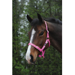 Capestro Saxon economico Rosa Capestro Saxon economico Rosa